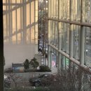 일동한일마트(17180) | 2021년 1월 리얼송이일상.