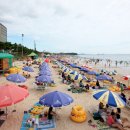 대천해수욕장 이미지