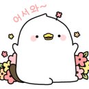 명가대구탕찜전문점 이미지