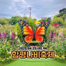 조금 아쉬웠던 나비없는 2025함평나비축제 리얼후기