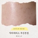 부산롯데호텔 피부과 닥터에버스에서 프라이빗하게 관리받고 온 스킨부스터 연어앰플 솔직 후기