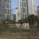 장량동 참사랑 이미지