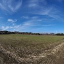 표선공인중개사사무소 이미지