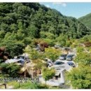 400동화장실 Daum카페