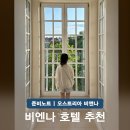 스타인호텔 | 비엔나 호텔 추천 아디나 스타인 위치 치안 내돈내산 스피에스