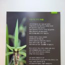 제주한란전시관 이미지