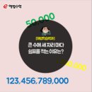 세자리