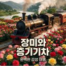 양양리버펜션 | 5월 나들이 종결자! 2026 곡성세계장미축제 일정 및 섬진강 여행 동선 총정리