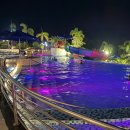 쉬었다가개 | 세부 제이파크 커넥팅룸 조식 스노쿨링 수영장음식 불쇼 후기