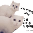 한우명가 백운정 이미지
