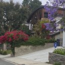 안가네 민박 | 23박 24일 미국 서부 여행 DAY-22 la 여행 (게티센터, 맨해튼비치, 헐리우드 거리, 기라델리, 인앤아웃...