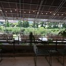 카페포레스트 - 원주시 행구로 499 | 카페포레스트