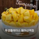 용마산역 | 용마산역 홀케이크 추천 투썸플레이스 용마산역점 망고생 내돈내산 솔직후기