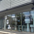 구미 봉곡동 반려동물용품점 호아 내돈내산 방문 후기