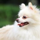 베이지동물병원 이미지