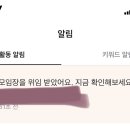 시-발 이거머임 당근모임 찾아서 친해질려햇는대 갑자기 모임장이 나한테 위임하고 탈퇴함 이미지