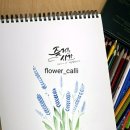 수채일러스트 캘리그라피(오전) 이미지