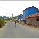 옥산리농로 이미지