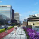 서울셰어
