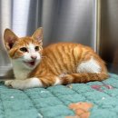 한울산업동물병원 이미지