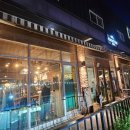 코코트리 | 고양 카페 &#39;코코트리1994&#39; 내돈내산 솔직후기