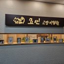 묘연고양이병원 이미지