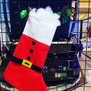 잭슨나인스 이미지