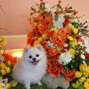 성곽공영주차장 화장실 이미지