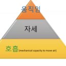 짐네스티 이미지