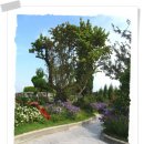 피나클랜드 이미지