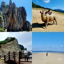 나이테펜션 | 대청도 여행 배편 숙소 코스 고민? 1박 2일 실전 답안지