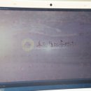 온평모다들엉(주) 이미지