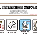 트릿테이블 이미지