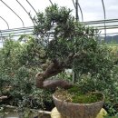 청암농장 이미지