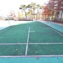 단지내중앙공인중개사사무소 이미지