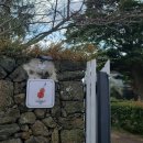 노고롯 스테이 이미지