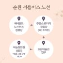 [경기도 여행] 에버랜드 튤립 축제 with 산리오 캐릭터즈 꽃축제 하늘 정원길 정보, 단독 입장권 셔틀...