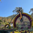 주식회사 강화모노레일 | [강화 가볼만한 곳] 포토존 가득한 화개정원 화개산 모노레일 &amp; 전망대