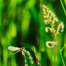 제중당약국 이미지