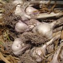 의성농산 이미지