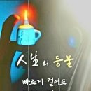 건강기호품