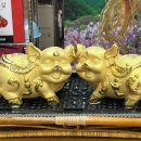 경희인삼사