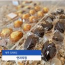 연  못 | 제주도 디저트 맛집 연과자점 타르트 마들렌 후기