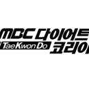 코리아 태비 태권도 이미지