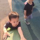 경남정보대부속유치원 이미지