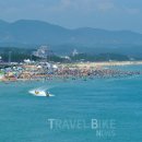 동해파도소리 이미지