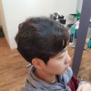 스타일노리터제주 - 55615 | 스타일노리터제주