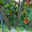 KCC페인트 동해 이미지