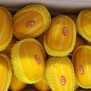 보내농장 이미지