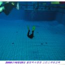 올림픽수영장 Daum카페